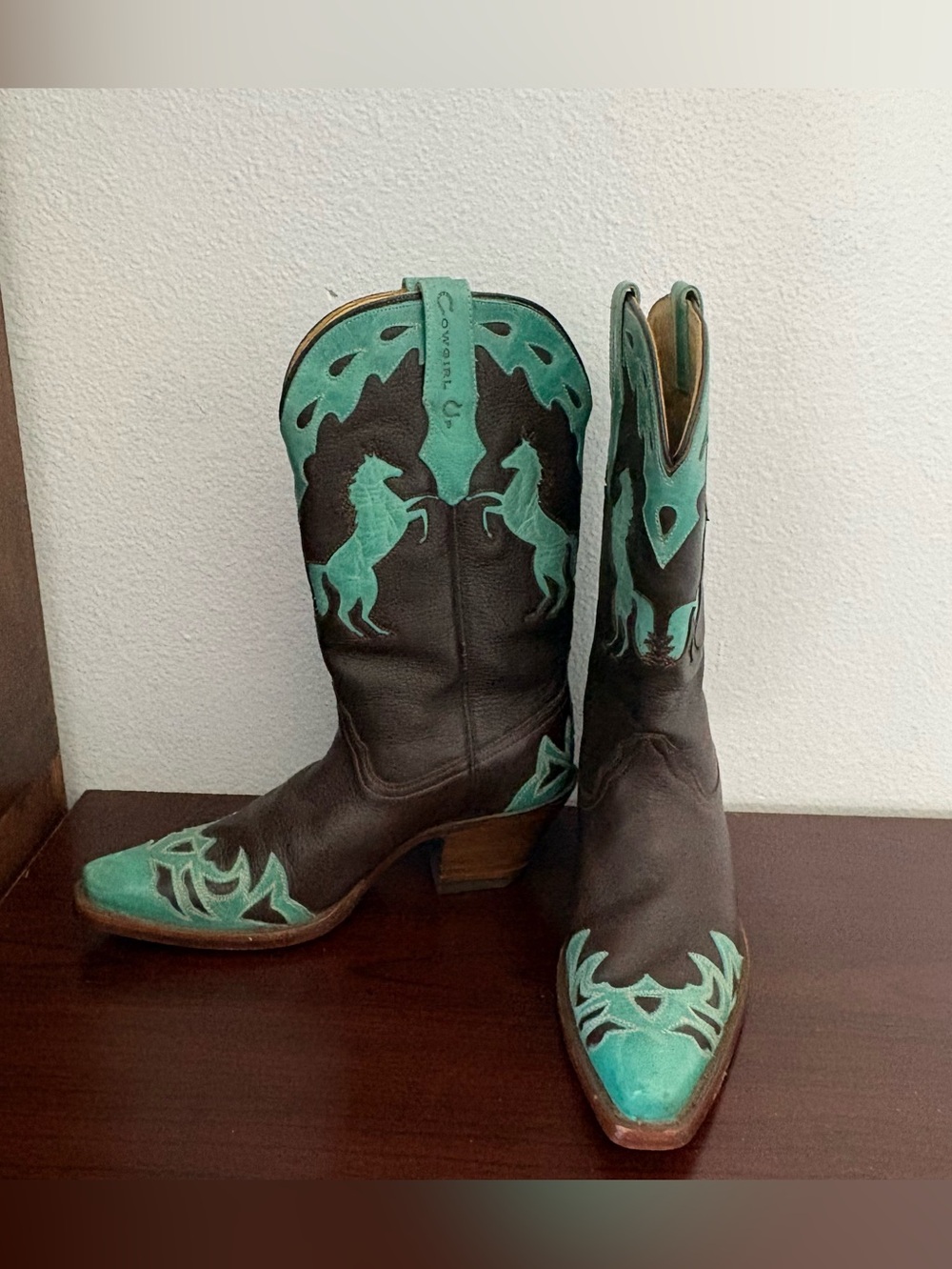 Rare & Stunning Vintage "Cowgirl Up" by Corral Western Boots!